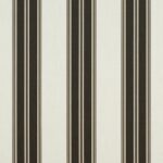 Black Taupe Fancy