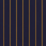 Captain Navy Regimental